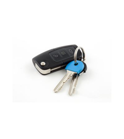 Parking Access Remotes